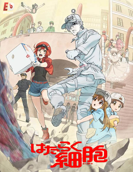 انمي Cells at Work الحلقة 2 مترجمة