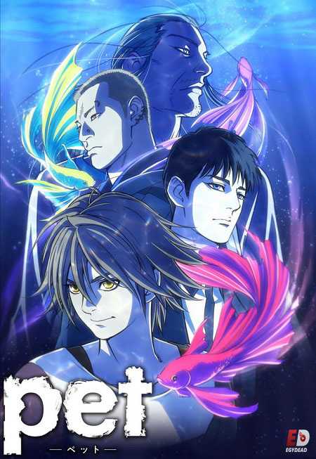 انمي Pet الحلقة 6 مترجمة