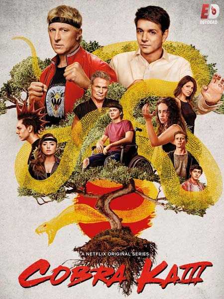 مسلسل Cobra Kai الموسم الثالث الحلقة 5 مترجمة