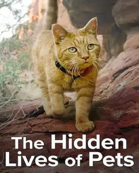 مسلسل The Hidden Lives of Pets الموسم الاول مترجم كامل