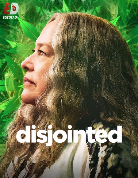 مسلسل Disjointed 2017 مترجم كامل
