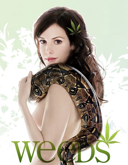 مسلسل Weeds 2005 مترجم كامل